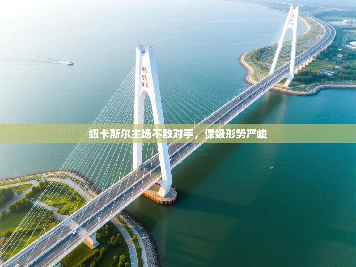 纽卡斯尔主场不敌对手，保级形势严峻  第1张