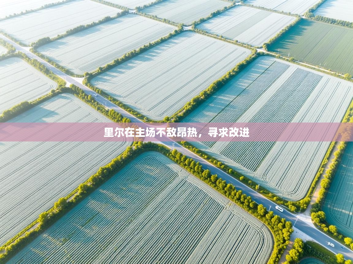 里尔在主场不敌昂热，寻求改进