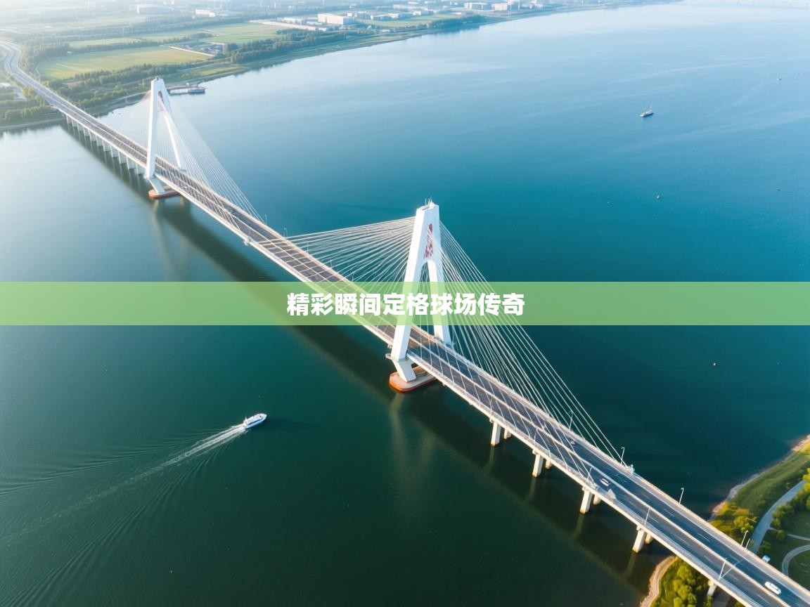 精彩瞬间定格球场传奇  第2张